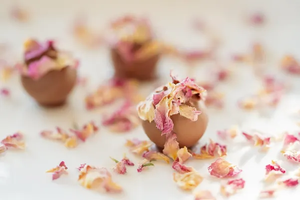 Casino Haiti Win Aplicación Android/iOS